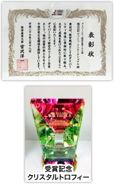 表彰状、受賞記念 クリスタル トロフィー